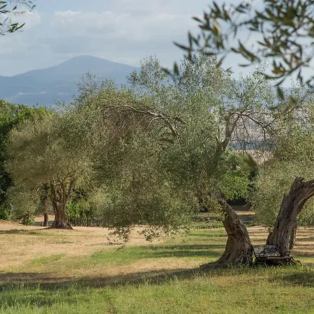 Villa Podere Castelletto *