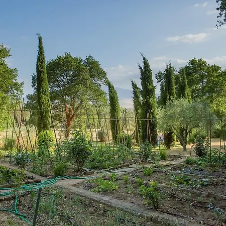 Podere Castelletto Villa